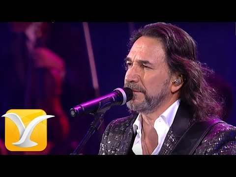 Marco Antonio Solís, Festival de Viña del Mar 2016