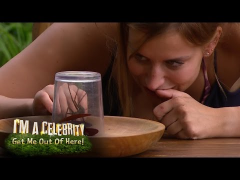 Ferne McCann Eats a HUGE Live Spider! | I'm A Celebrity... Get Me Out Of Here!