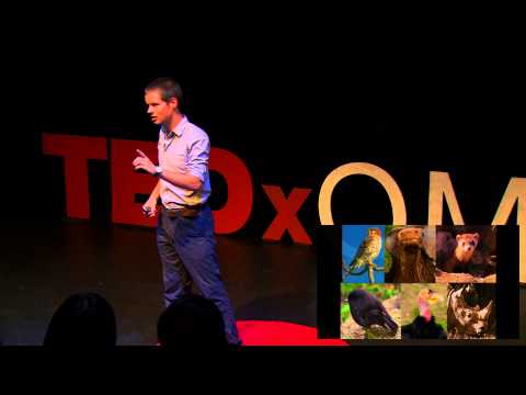 Is There Hope For Conservation? | James Borrell | TEDxQMUL