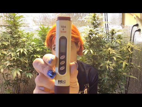 How To Grow Weed Indoors ~ Your Complete Guide!