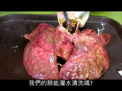 Terrible!!! It is a smoking lung.