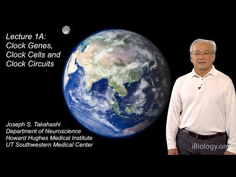 Joseph Takahashi (UT Southwestern/HHMI) Part 1A: Circadian Clocks: Clock Genes, Cells and Circuits