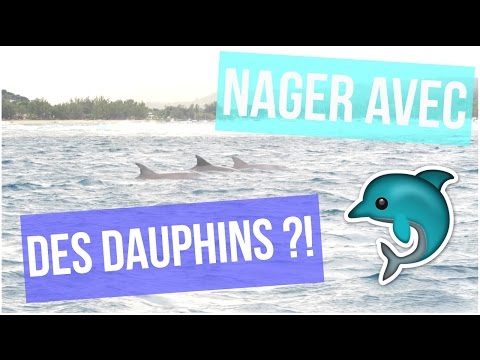 NAGER AVEC DES DAUPHINS ?! ♡