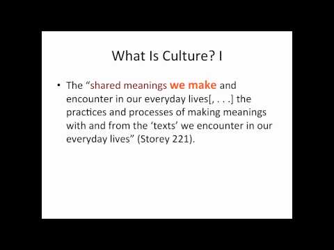 Cultural Studies Primer pt  1