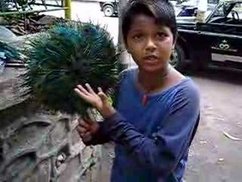 Lingo Kid- Talented Indian Kid speaks many languages