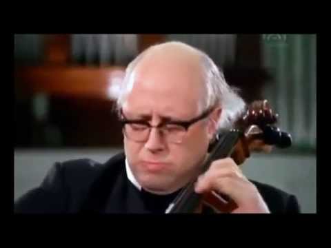 MSTISLAV ROSTROPOVICH  -Haydn-Cello Concerto No.2 in D MAJOR / ASMF/ IONA BROWN