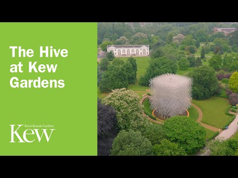 The Hive at Kew Gardens