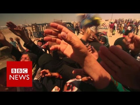 What 2003's invasion did to Iraq - BBC News