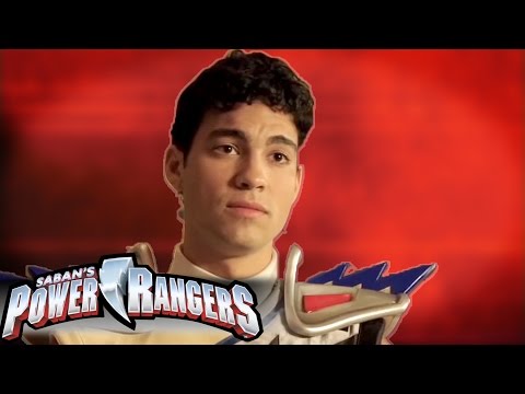 Meet the Gold Ranger - Davi Santos