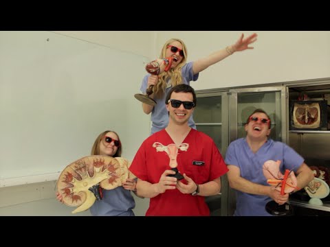 Shake It Off ft. University of Utah School of Medicine