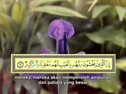 Surat Al Mulk - Muh Thaha Al Junaid