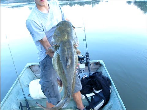 Missouri River Monster Flathead Catfish Fishing