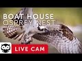 Audubon Boat House Osprey Nest powered by EXPLORE.org