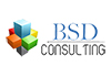 BSD Consulting