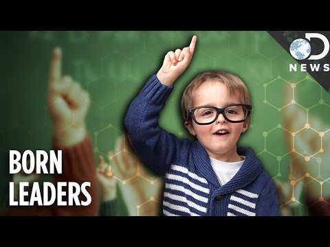 Are Great Leaders Born Or Made?