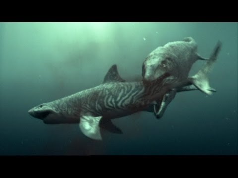 Mosasaur Shark Attack - Reign of the Dinosaurs