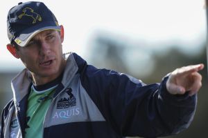 In demand: The Wallabies want Brumbies coach Stephen Larkham full-time.