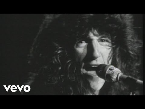 REO Speedwagon - Roll With the Changes