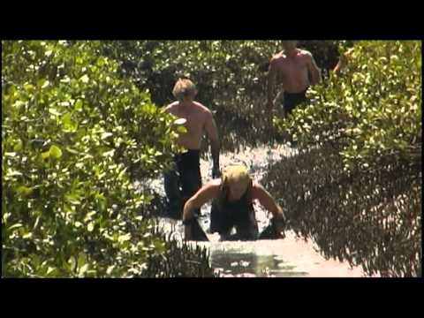 2012 Blues Mud Run at the Devonport Naval Base