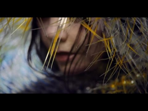 björk: lionsong