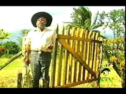 THE ANSWER - Jamaican Movie Staring Charles Hyatt & Fabian Thomas 1990