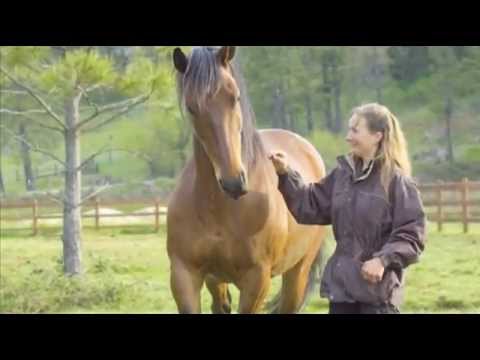 The Path of the Horse - Full Length documentary