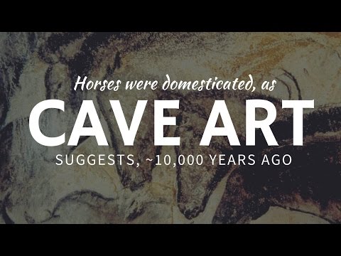 First domesticated HORSES in the ancient cave art in Eurasia