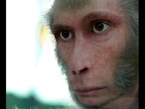 India's Most Elusive Monster: The Monkey Man Documentary