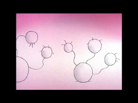 THE MEANING OF LIFE - by DON HERTZFELDT