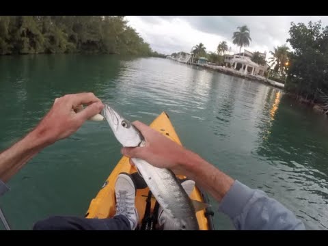 Fishing the Florida Keys: Florida Fishing Road Trip Chronicles 3