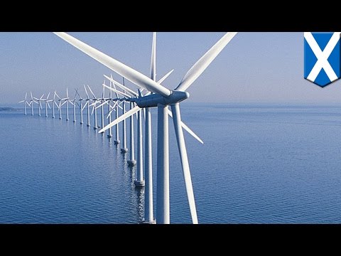 World's largest floating offshore wind farm to be built off the coast of Scotland - TomoNews