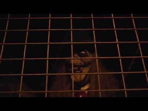 Full walk through Draculas Haunted House Gold Coast Queensland