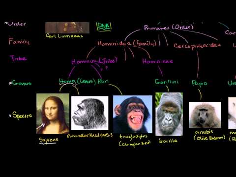 Taxonomy and the Tree of Life