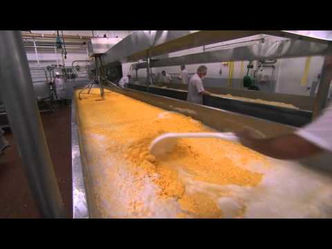 TVO's Making Stuff: How Ivanhoe makes Marble Cheddar Cheese