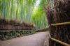 The tranquil bamboo pathway in Arashyama, Kyoto, Japan.