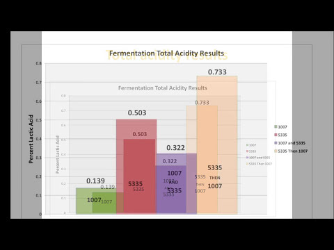 PERSPECTIVE ON BREWING BERLINER WEISSE STYLE BEER