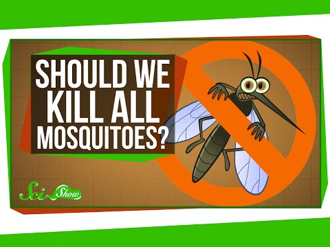 What If We Killed All the Mosquitoes?