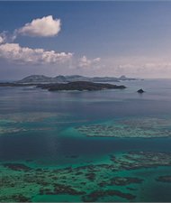 Activities on Turtle Island Fiji