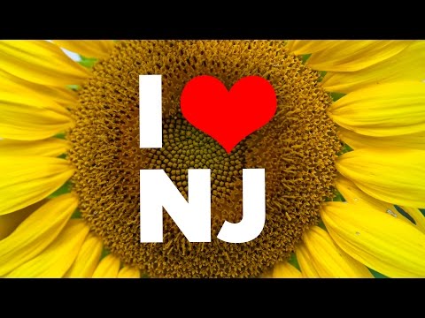 10 Reasons To Never Visit New Jersey