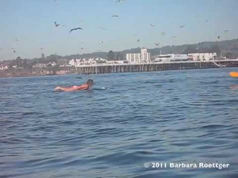 Surfer Almost Swallowed by Whale