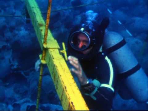 Nautical Archaeology -  Beginnings (part 2)