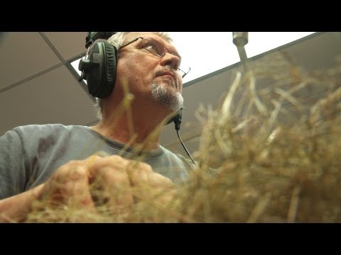 Holey Foley | Sound Design at Earth Touch