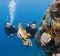 Gone fishing: SCUBA diving offers some close encounters with the locals.