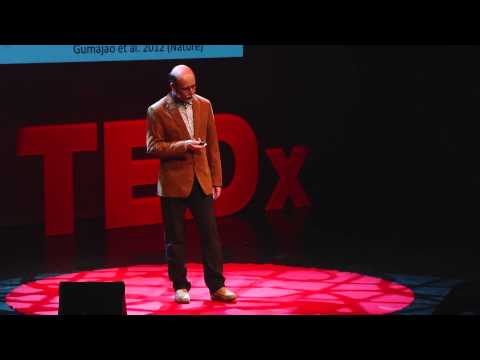 GMO controversies - science vs. public fear: Borut Bohanec at TEDxLjubljana