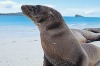 Win a trip to the Galapagos Islands with Aurora Expeditions.