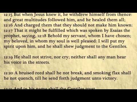 Matthew - King James Bible, New Testament (Audio Book)