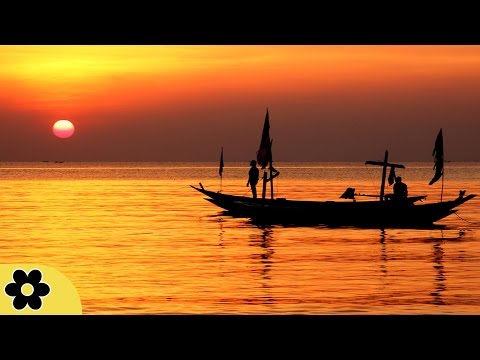 Sleep Music, Calm Music for Sleeping, Delta Waves, Relax, Insomnia, Relaxing Music, 8 Hour, ✿2706C