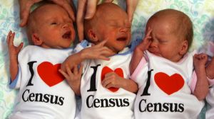 Babies born on census night in 2011 at Wollongong Hospital.