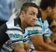 Free man: Cronulla five-eighth James Maloney.