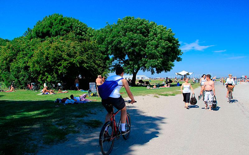 Femøren ved Amager Strandpark